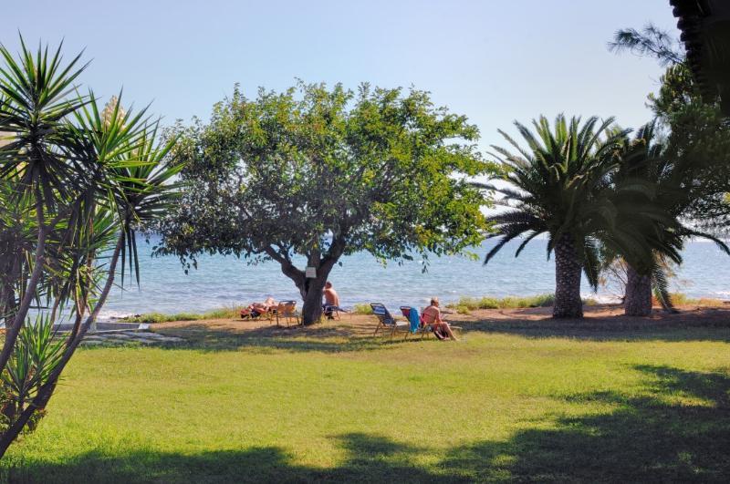 Mimoza Beach 아르가시 외부 사진